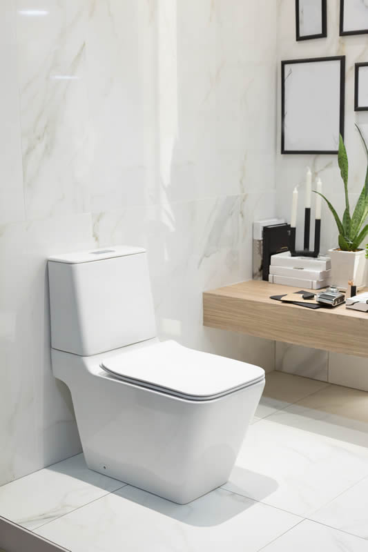 Our Toilet Replacement & Repair Process From Trinity Plumbing in New Richmond, OH